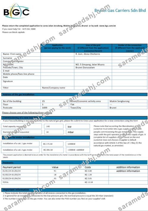 Brunei Gas Carriers gas business utility bill template in Word and PDF format